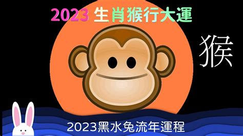 2023猴年運程1980顏色|【2023猴年運程1980顏色】2023猴年運程！1980屬猴明年轉運就。